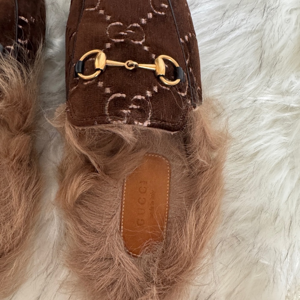 Gucci - Picture 5 of 11